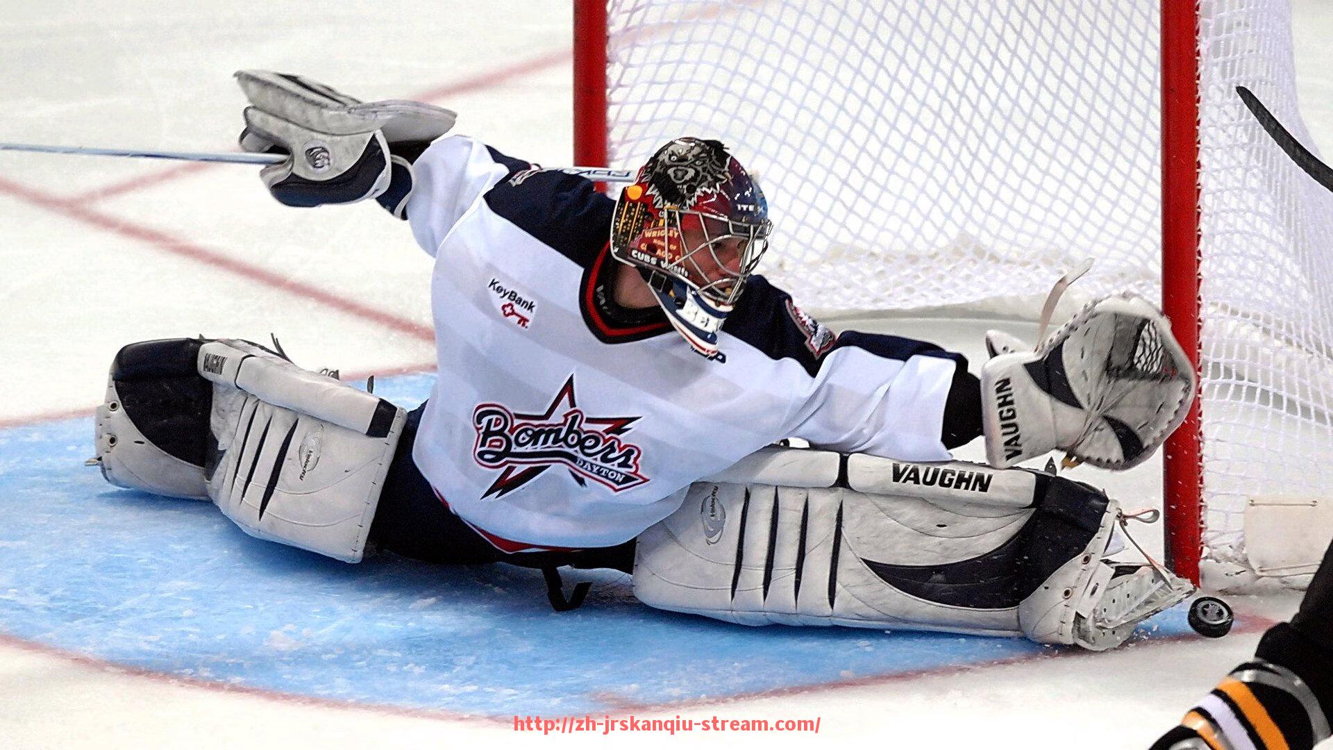 JRS低调看球-建立世俱杯直播用户付费意愿预测模型的核心变量探讨